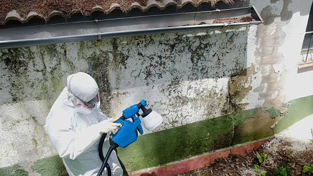 Trusted Mold Inspection service in Lilburn, GA - Cheap Mold Removal